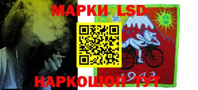 шишки Бузулук