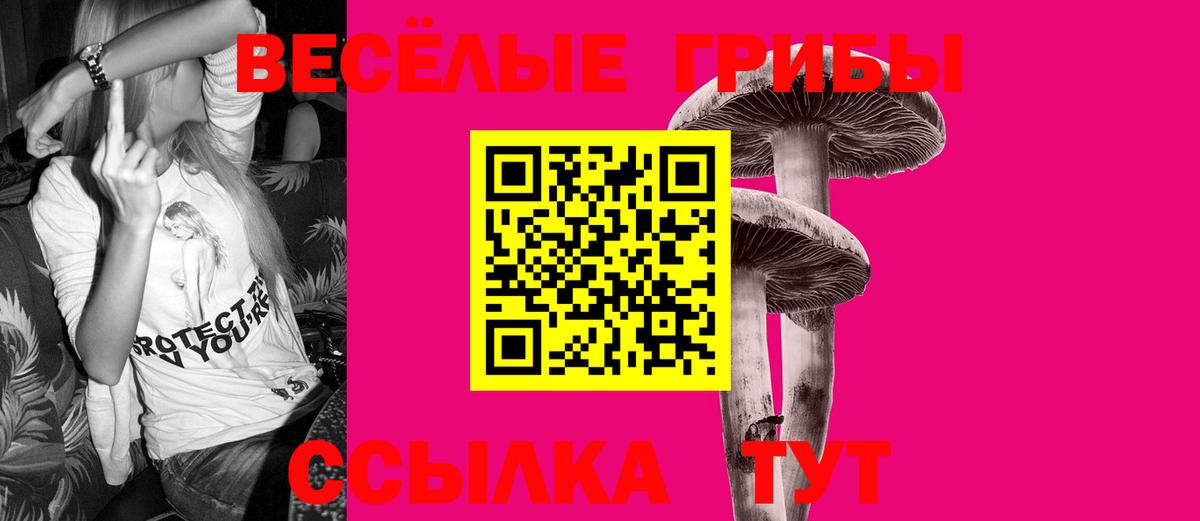 Псилоцибиновые грибы Psilocybe  Галлюциногенные грибы прущие грибы  Вход с VPN  Холмск 